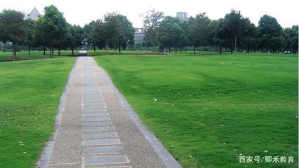 上海最美三所大學，景致與實力并存，考上學子皆不凡